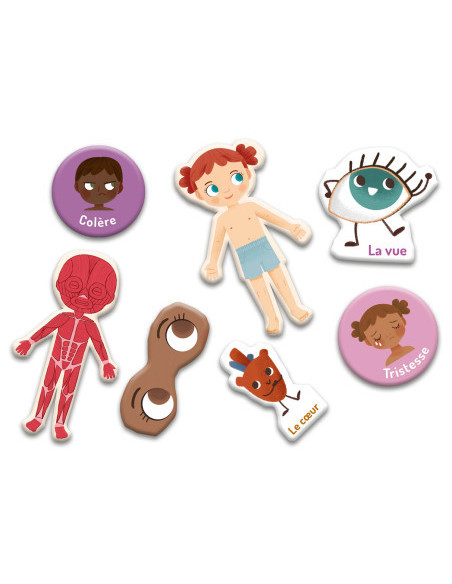 Mon petit coffret aimanté - le corps humain