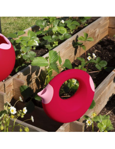 Quut - cana large cerise 2