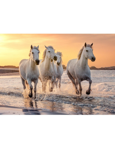 Puzzle 500 p xl - chevaux en camargue