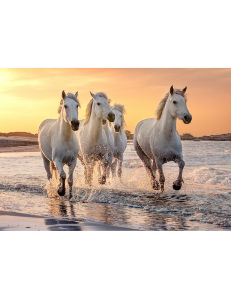 Puzzle 500 p xl - chevaux en camargue