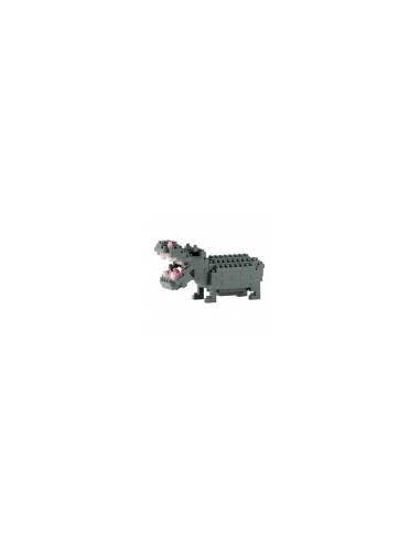 Hippopotamus
