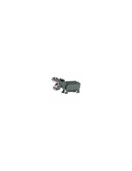 Hippopotamus