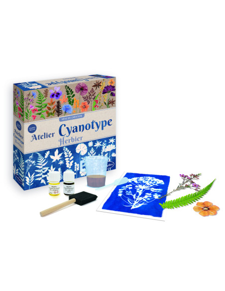 Atelier de cyanotype herbier