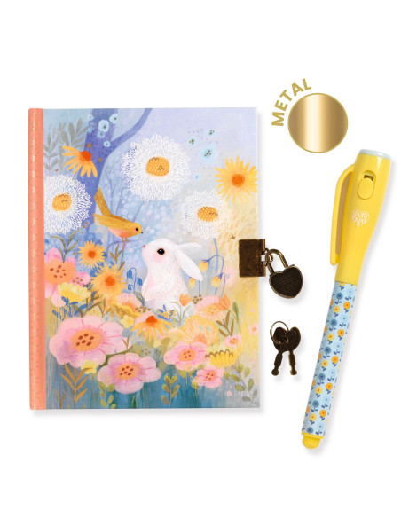 Carnet secret - feutre magique - carnet secret kendra