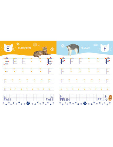 Mon cahier d'écriture - lettres bâtons - les chats
