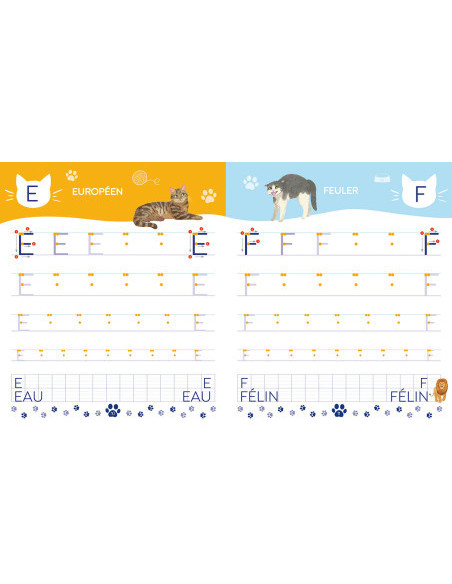 Mon cahier d'écriture - lettres bâtons - les chats