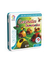 Coccinelles Demoiselles