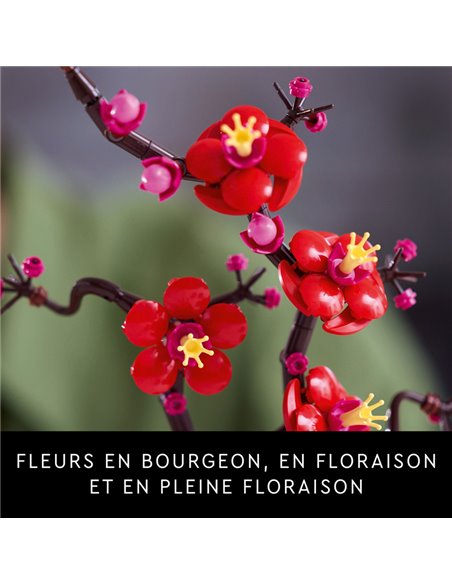 FLEURS DE PRUNIER ICONS