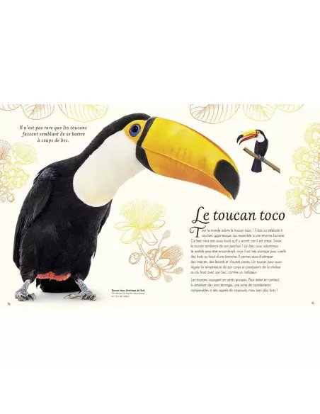  L'ANTHOLOGIE ILLUSTRÉE DES OISEAUX 