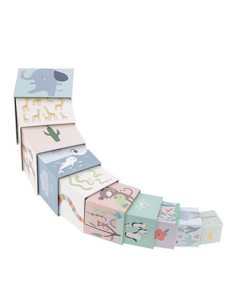  Cubes gigognes Animaux