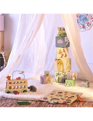  Cubes gigognes Animaux