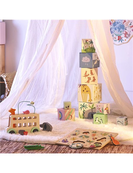  Cubes gigognes Animaux