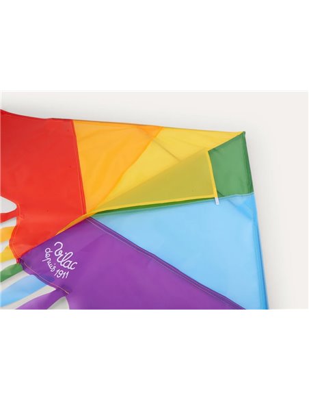  Cerf-volant arc-en-ciel