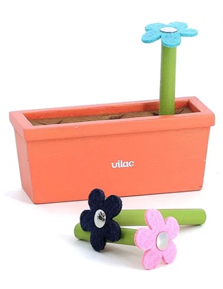  Jardin d’éveil multi-activités