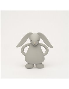  Moonie – lapin de dentition gris           