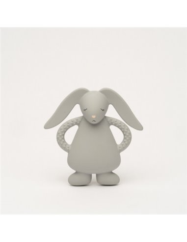  Moonie – lapin de dentition gris           