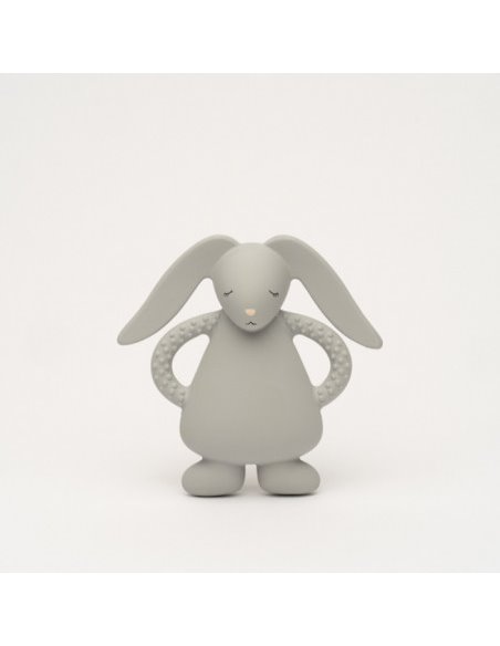  Moonie – lapin de dentition gris           