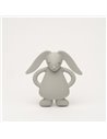  Moonie – lapin de dentition gris           