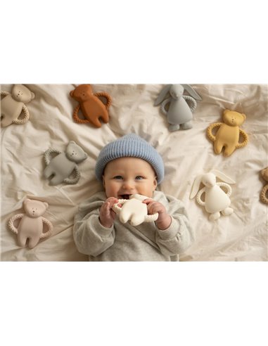  Moonie – lapin de dentition gris           
