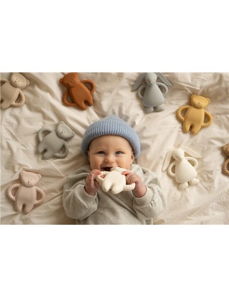  Moonie – lapin de dentition gris           