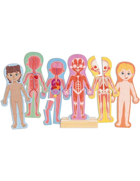 Puzzle aimanté - assemble le corps humain - Hape