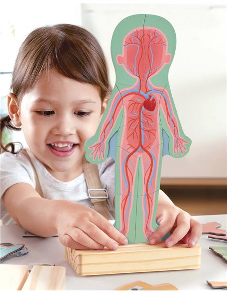 Puzzle aimanté - assemble le corps humain - Hape
