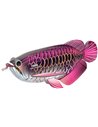 Eugy 3D Poisson Dragon