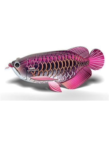 Eugy 3D Poisson Dragon