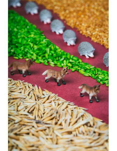 Petit boum bouteilles sensorielles - PACK WOODLAND