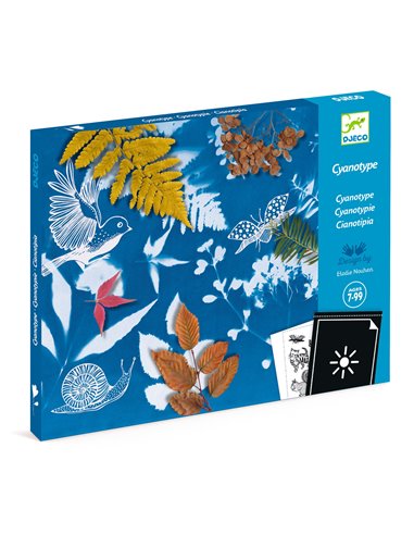 Cyanotypes - Starter Kit - Djeco