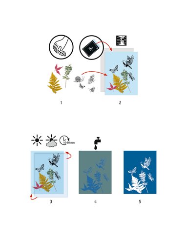 Cyanotypes - Starter Kit - Djeco