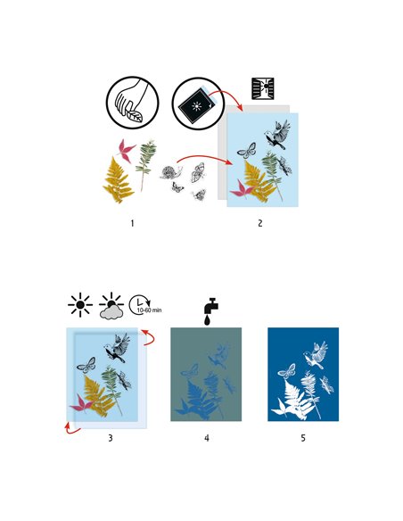 Cyanotypes - Starter Kit - Djeco