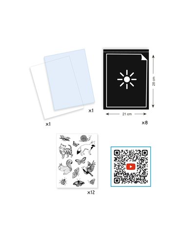 Cyanotypes - Starter Kit - Djeco