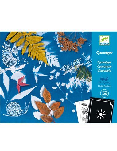 Cyanotypes - Starter Kit - Djeco