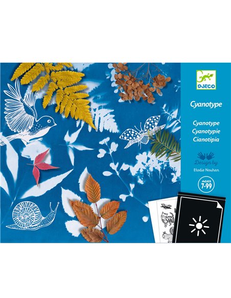 Cyanotypes - Starter Kit - Djeco