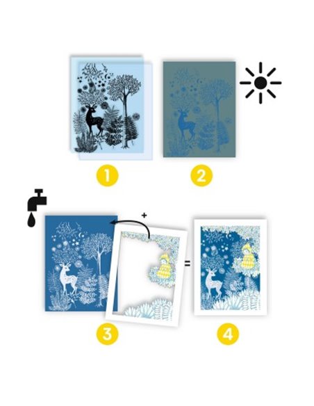 Cyanotypes - Au clair de la lune - Djeco