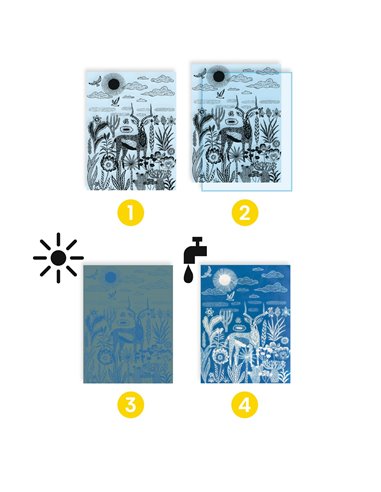 Cyanotypes - Savane nocturne - Djeco