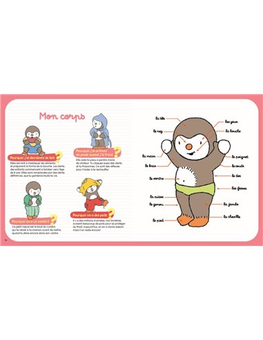 T'choupi : mon grand livre des pourquoi ? 