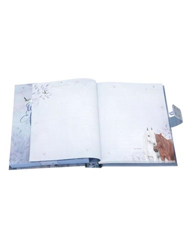 Journal Miss Melody Code et Son