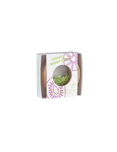 PETIT BOUM SENSORY DONUT KIWIS 2
