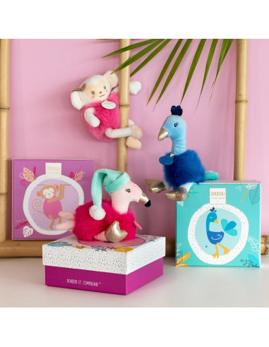 Paon - Les Minizoo