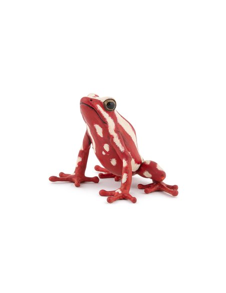 Figurine Grenouille Flèche Tricolore PAPO