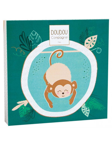 Ouistiti Naturel - Les Minizoo