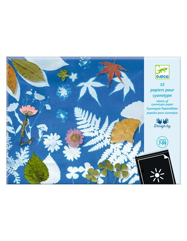 PAPIERS POUR CYANOTYPES - Djeco