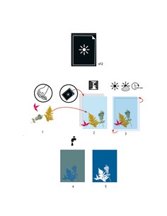 PAPIERS POUR CYANOTYPES - Djeco 2