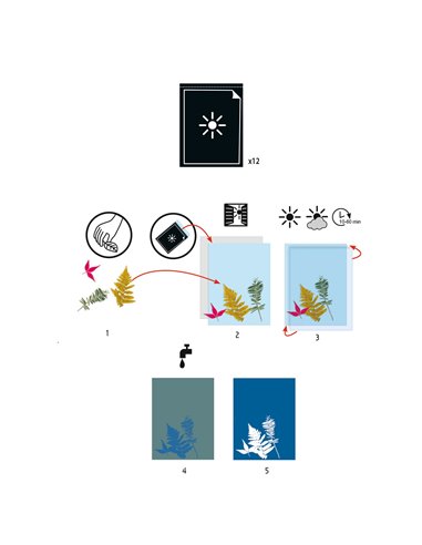 PAPIERS POUR CYANOTYPES - Djeco