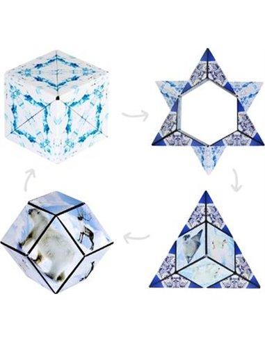 SHASHIBO ARCTIC