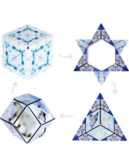 SHASHIBO ARCTIC