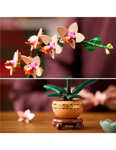 LEGO® BOTANICALS 10343 - L’ORCHIDEE MINIATURE