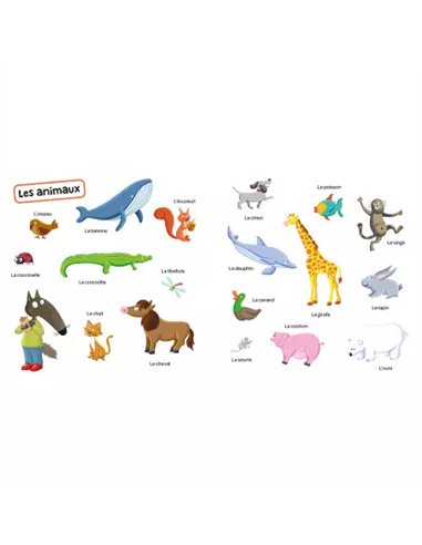 P'tit loup - Mes 200 premiers mots